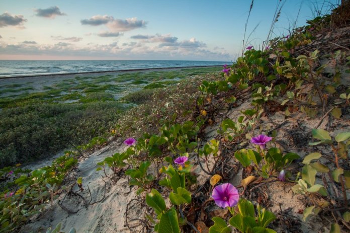 ARS_PINS_20130831_0072-2