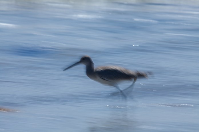 ARS_PINS_20130901_0755