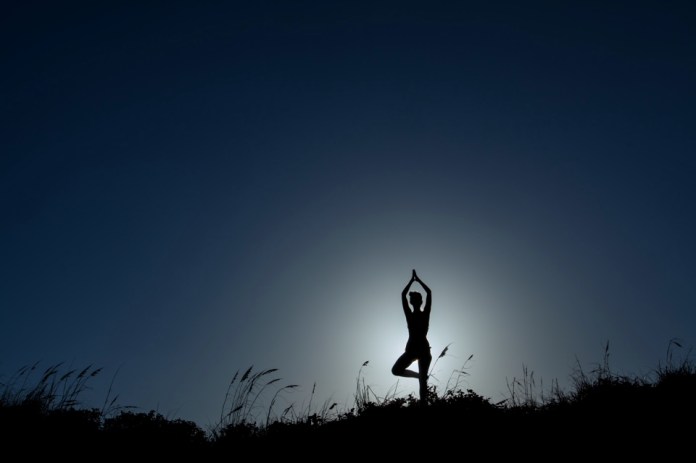 ARS_PINS_20130901_1106