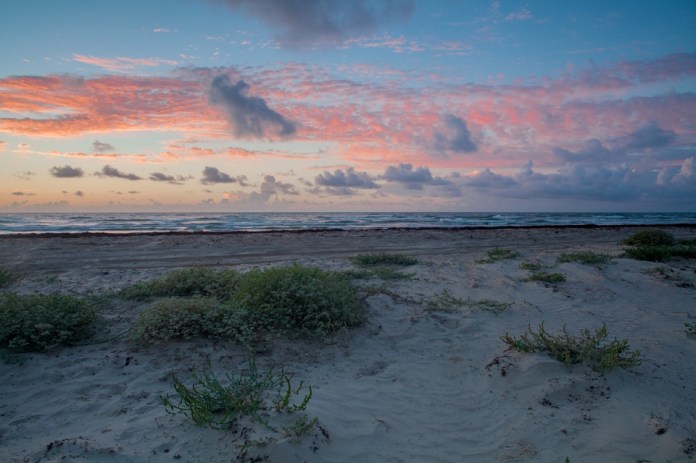 ARS_PINS_20130902_1154