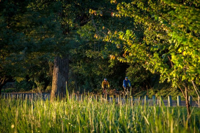 ARS_RACR_20131008_8288