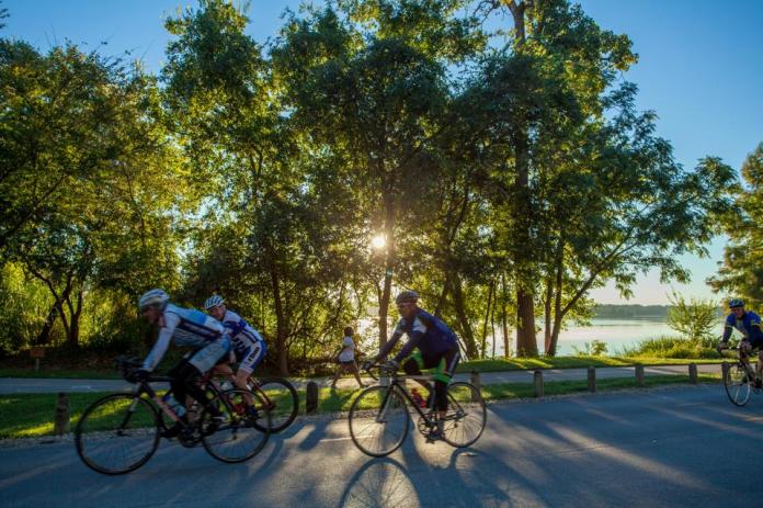 ARS_RACR_20131008_8391