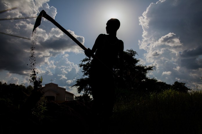 ARS_SEEDEFFECT_140814_0172