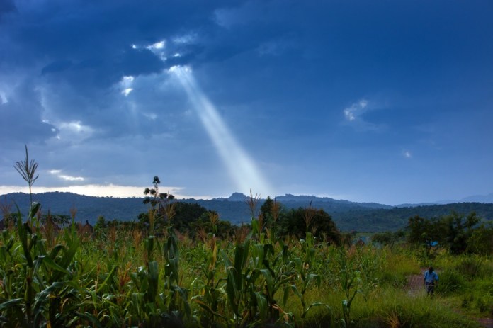 ARS_SEEDEFFECT_140814_9782