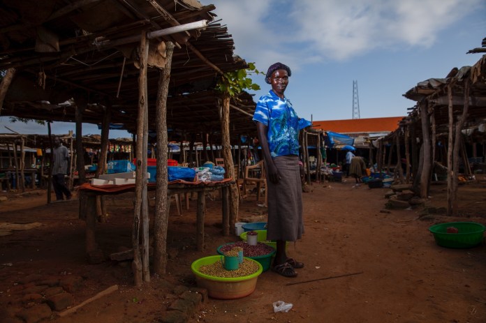 ARS_SEEDEFFECT_140816_0443-2