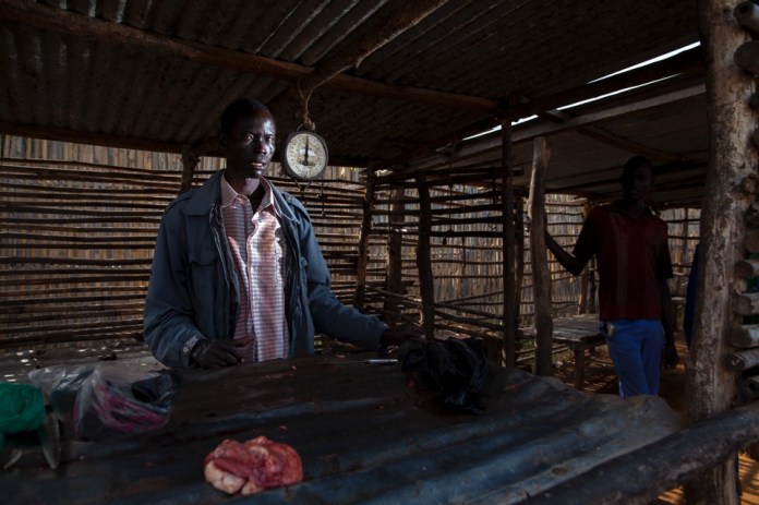 ARS_SEEDEFFECT_140816_0486-2