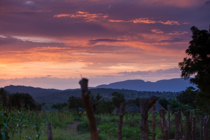 ARS_SEEDEFFECT_140817_1054