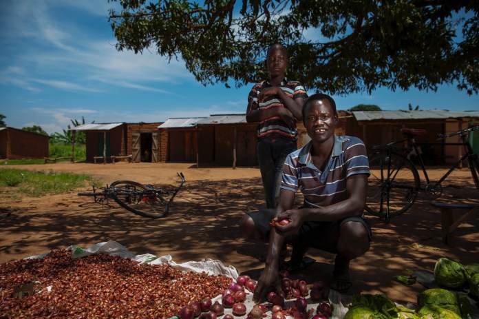 ARS_SEEDEFFECT_140818_1332