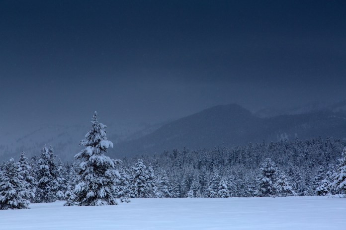 a hauntingly still winter day in snowy Grand Teton NAtional Park, WY