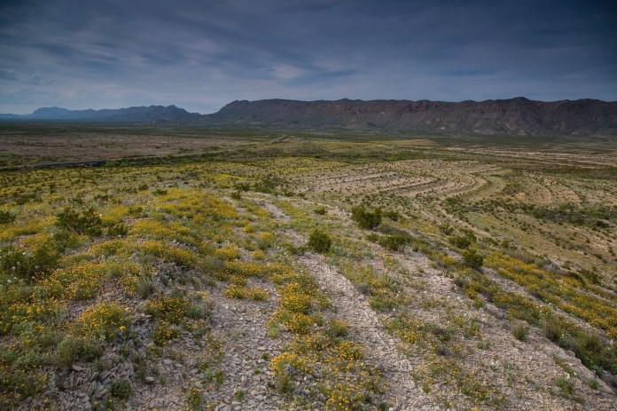 ARS_BBNP_150405_7739