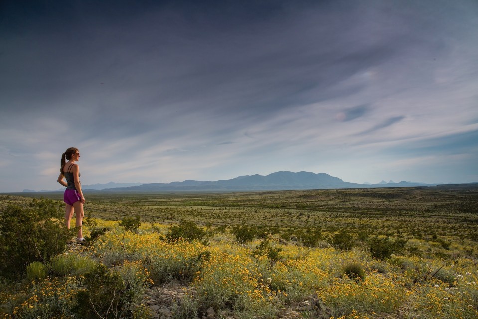 ARS_BBNP_150405_7747