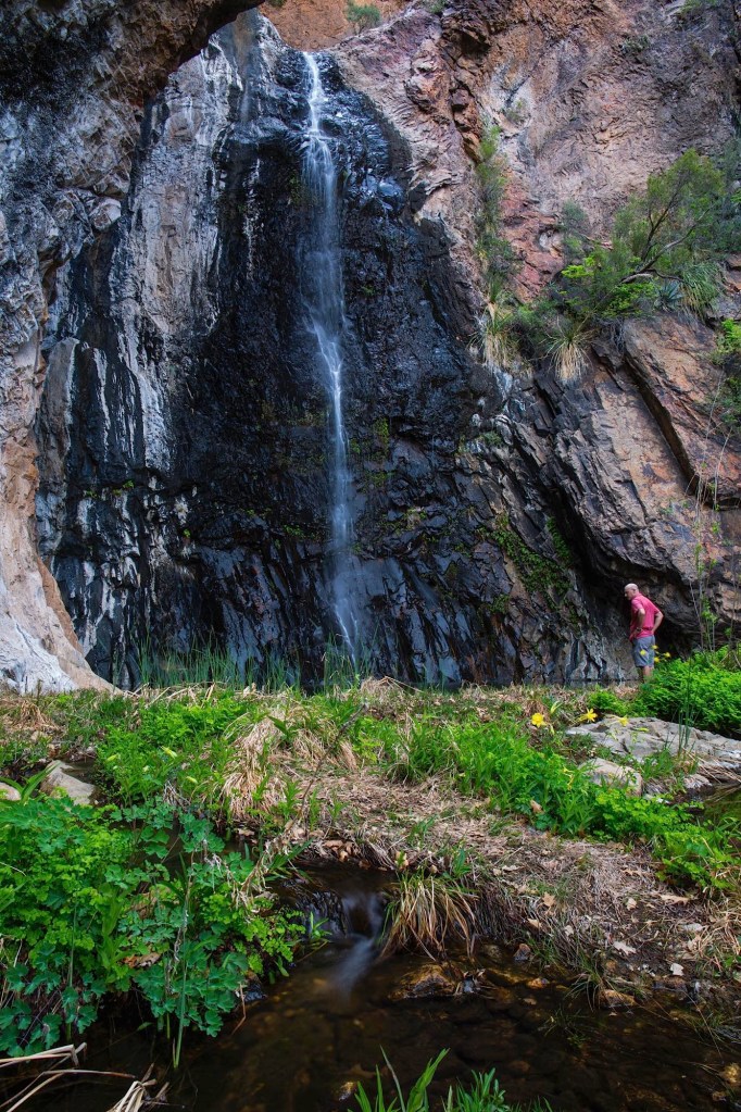 ARS_BBNP_150406_7799