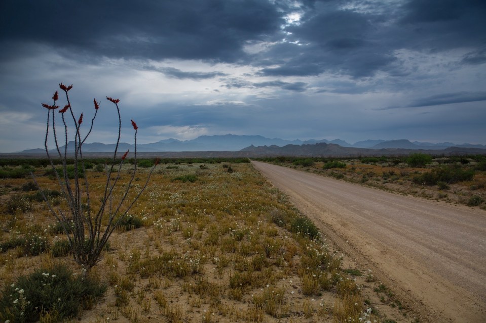 ARS_BBNP_150408_9670