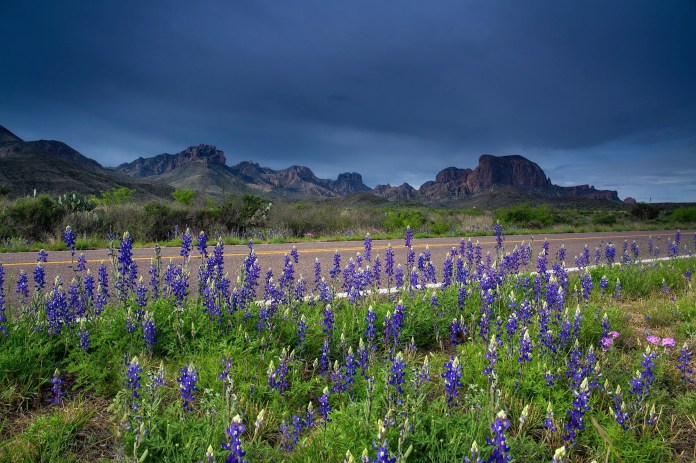 ARS_BBNP_150408_9704