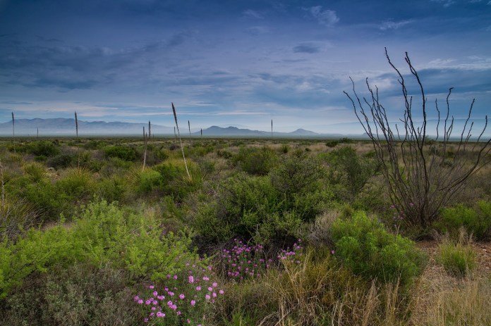 ARS_BBNP_150408_9706