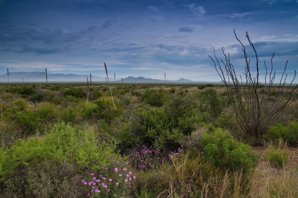 ARS_BBNP_150408_9706