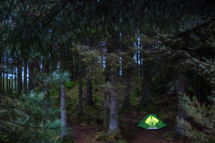 Tent camping in Ardcastle Wood