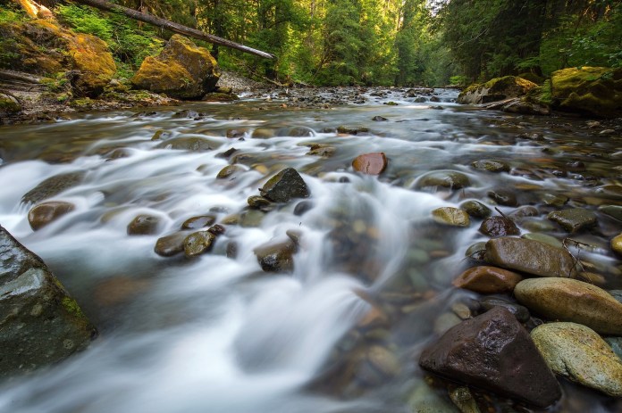 The scenic Ohanapecosh River