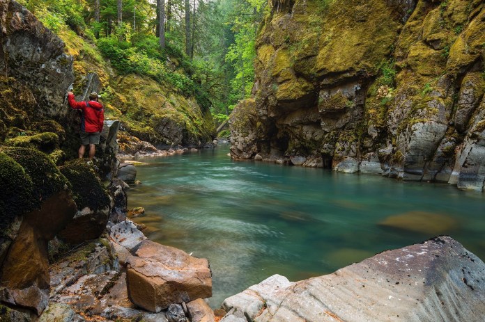 The scenic Ohanapecosh River