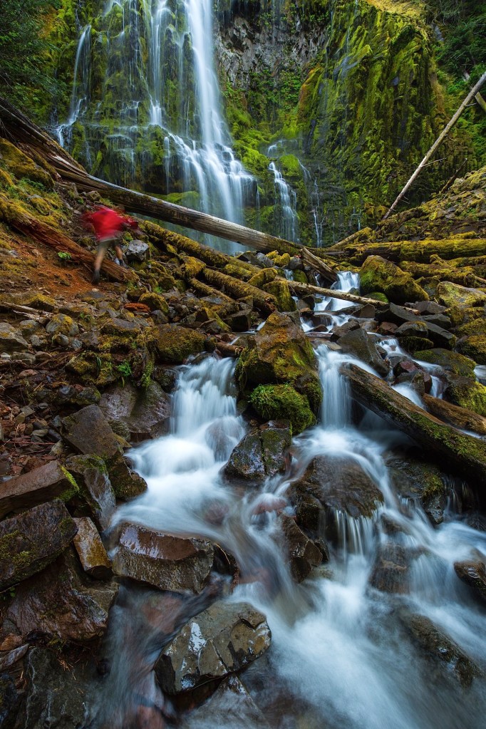 Man hiking Proxy Falls