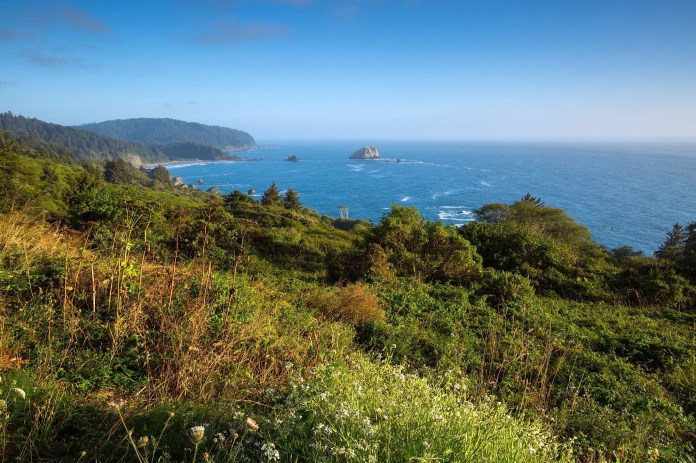 Pacific surf along Del Norte Coast