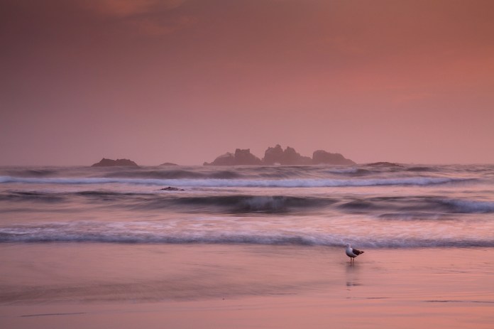 Dusk falls on Bandon Beach