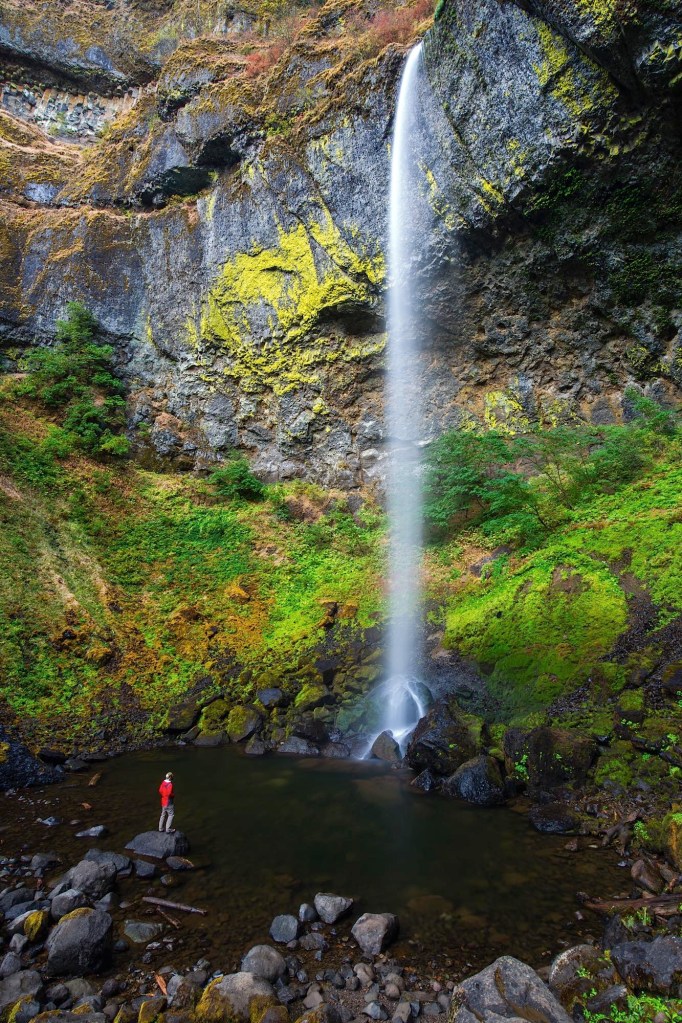 A man is drawrfed by Elowah Falls