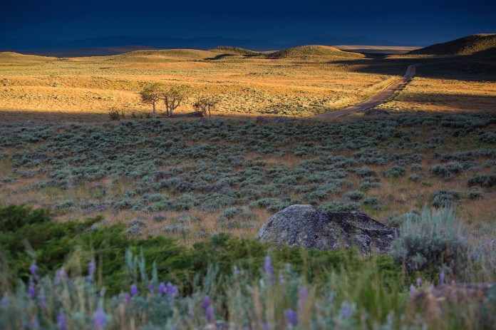 The road to Willow Lake