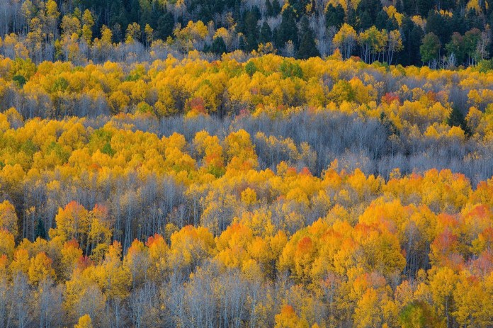 ARS_CO_20151001_7675