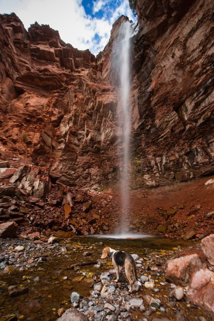 ARS_CO_20151004_8875