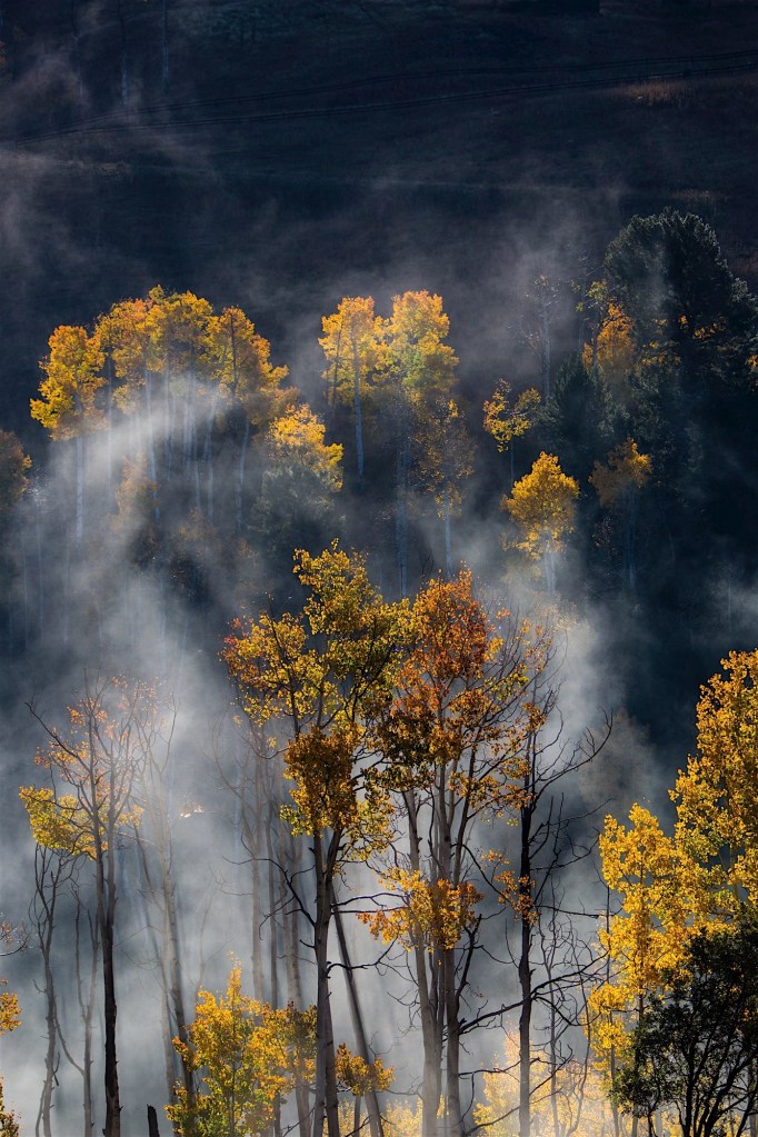 ARS_CO_20151006_9315