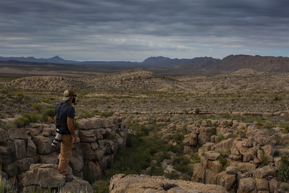 ARS_BBNP_20151112_0056