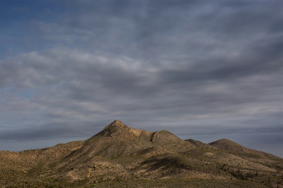 ARS_BBNP_20151112_0083