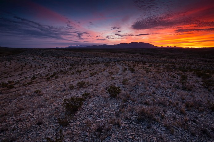 ARS_BBNP_20151112_0110