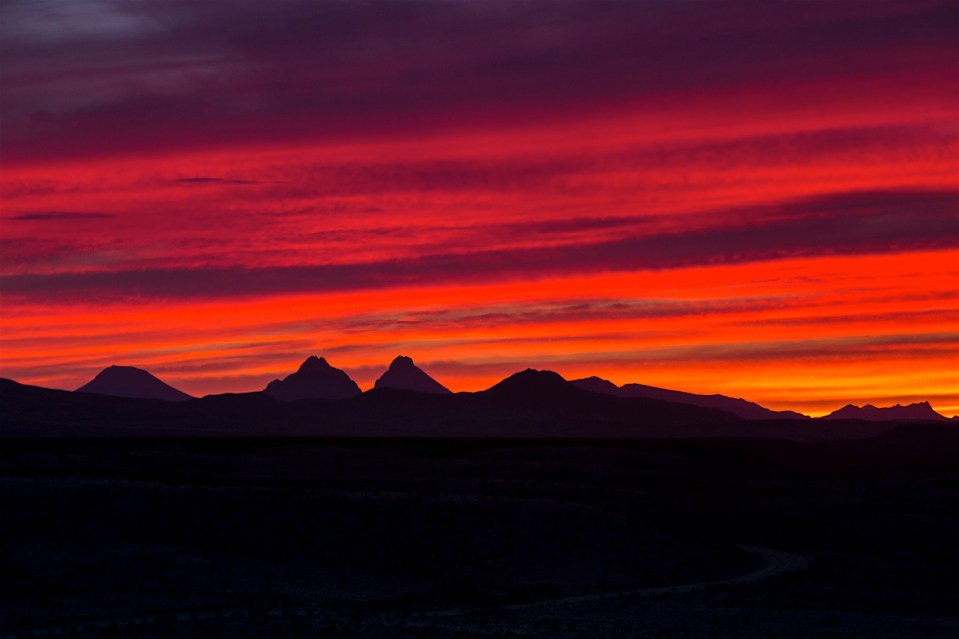 ARS_BBNP_20151112_0113