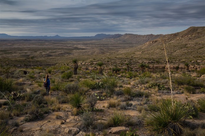 ARS_BBNP_20151112_9449