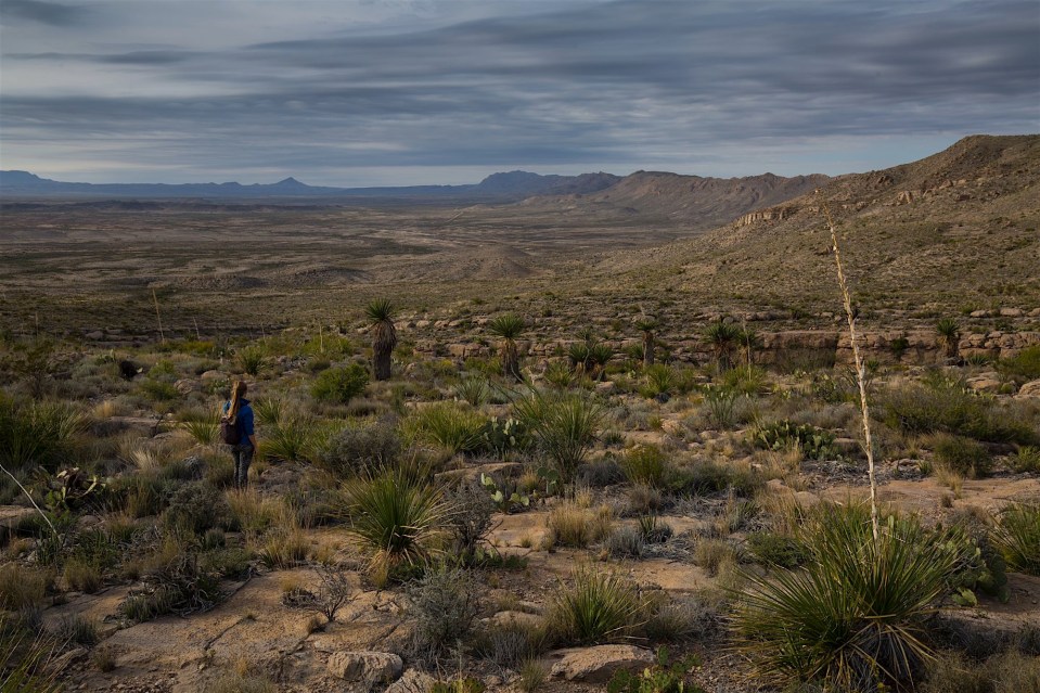 ARS_BBNP_20151112_9449