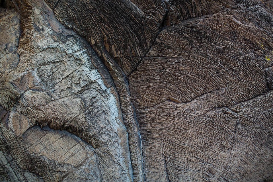 ARS_BBNP_20151113_0194