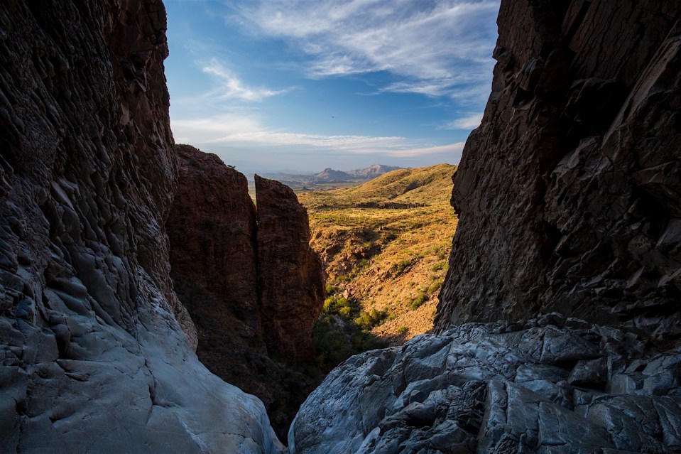 ARS_BBNP_20151113_0198