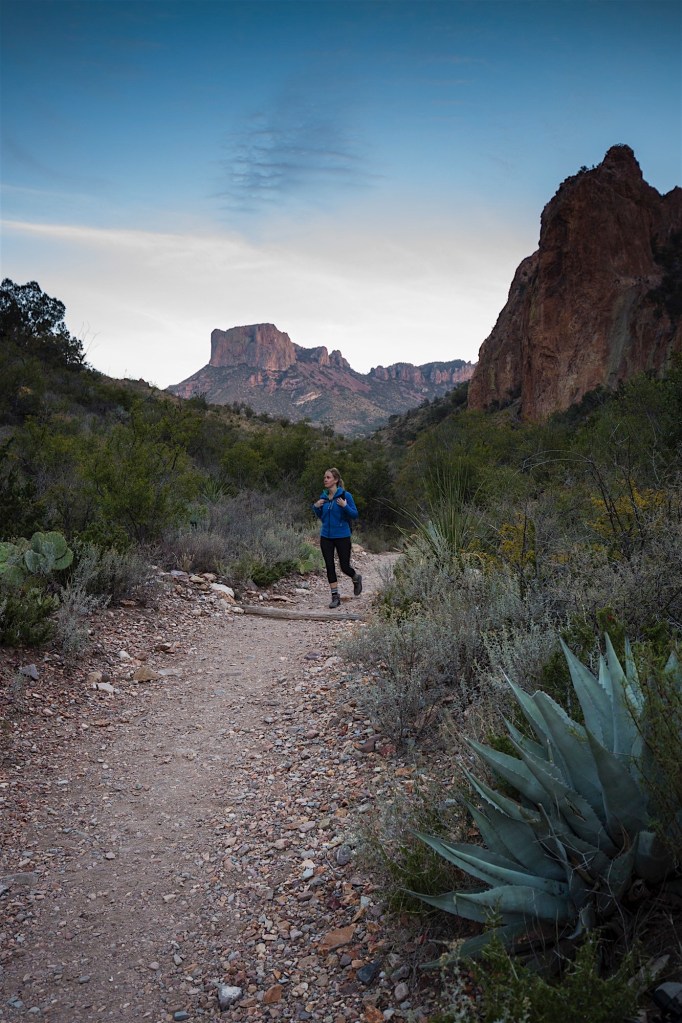 ARS_BBNP_20151113_0308