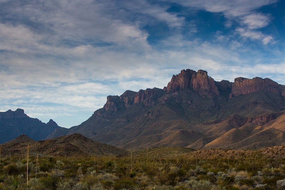 ARS_BBNP_20151116_1996