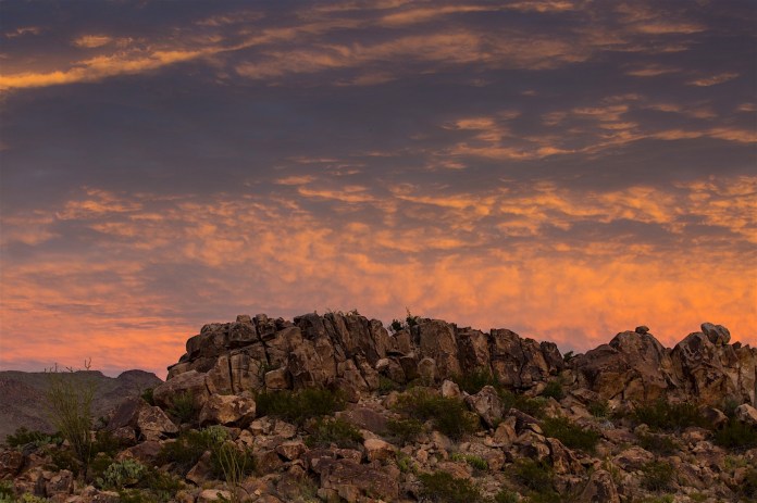 ARS_BBNP_20151116_2014