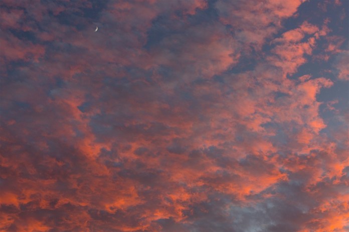 ARS_BBNP_20151116_2029