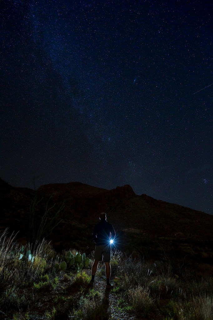 ARS_BBNP_20151116_2076