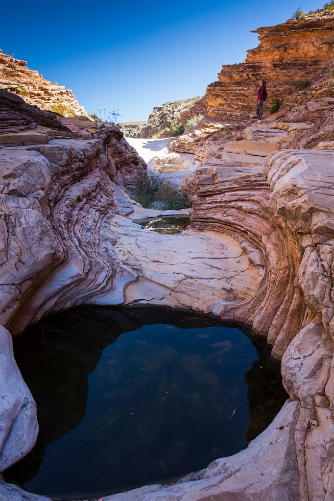 ARS_BBNP_20151118_3568