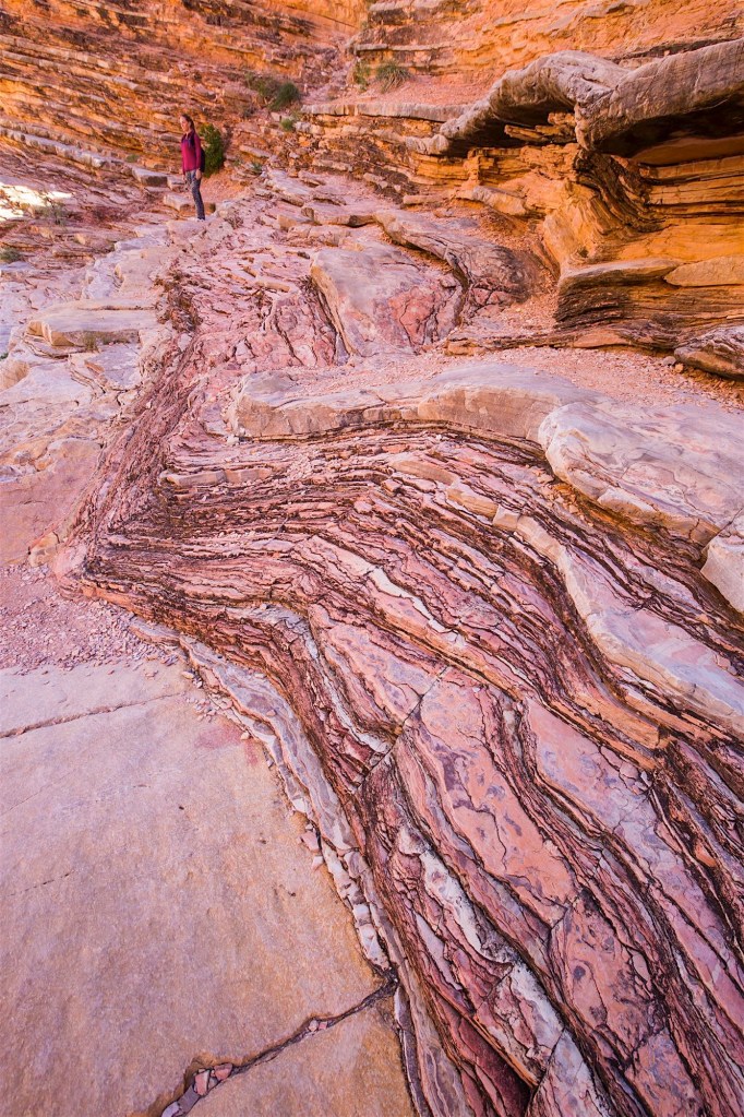 ARS_BBNP_20151118_3574