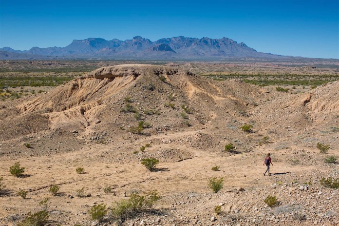 ARS_BBNP_20151118_3697