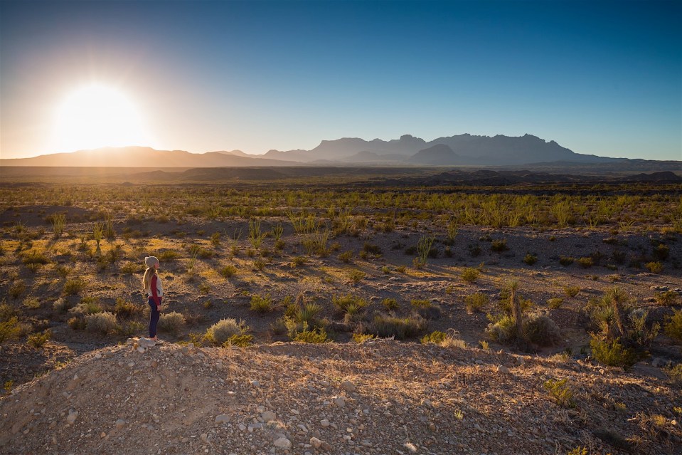 ARS_BBNP_20151118_9519