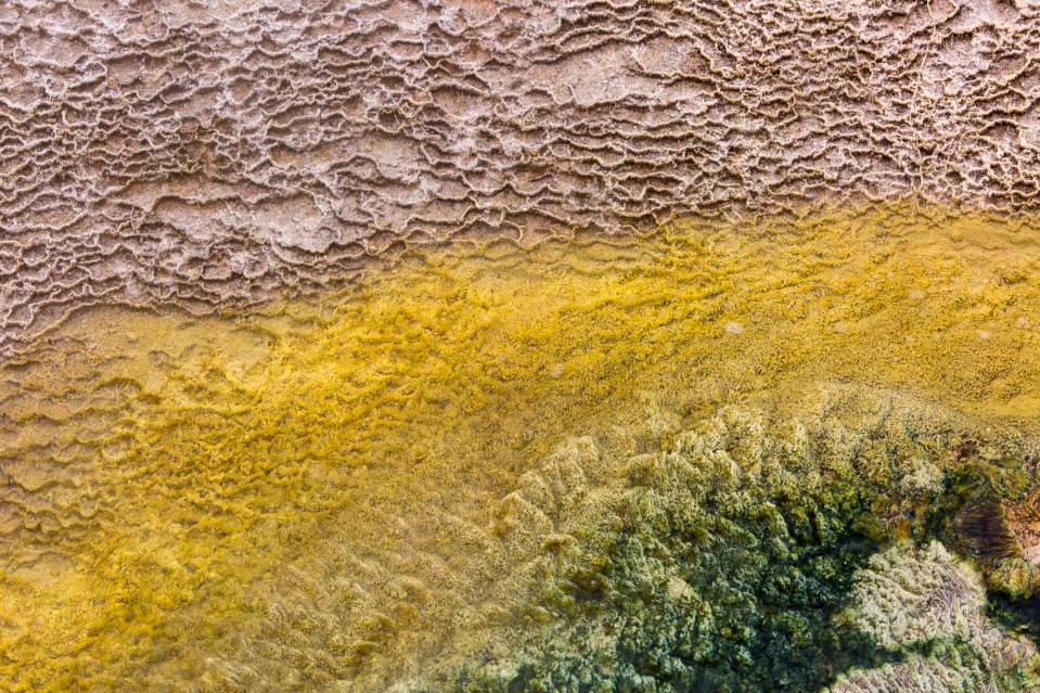 ARS_WY_20160120_0867