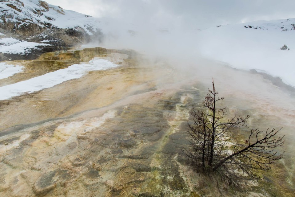 ARS_WY_20160120_0896